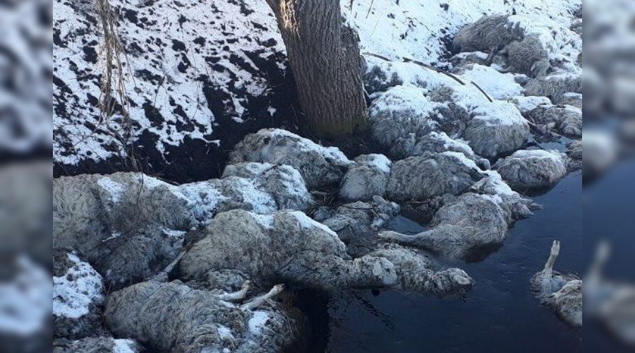  © Фото из группы vk.com/chp_vladikavkaz