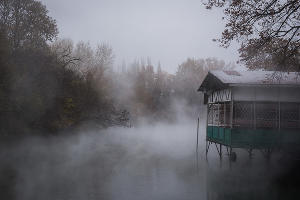 Туман в парке «Солнечный остров» © Фото Елены Синеок, Юга.ру