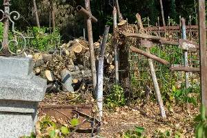 Разрушения Всесвятского кладбища во время вырубки в сентябре 2023 года &copy;&nbsp;Фото Александра Гончаренко, Юга.ру