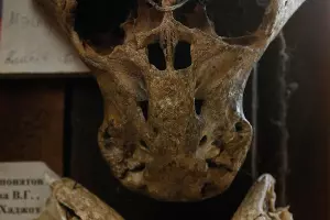 "Музей снежного человека" в Адыгее &copy;&nbsp;Влад Александров, ЮГА.ру