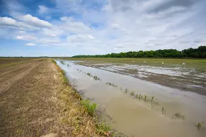 УОХ &laquo;Кубань&raquo; &copy;&nbsp;Фото Елены Синеок, Юга.ру