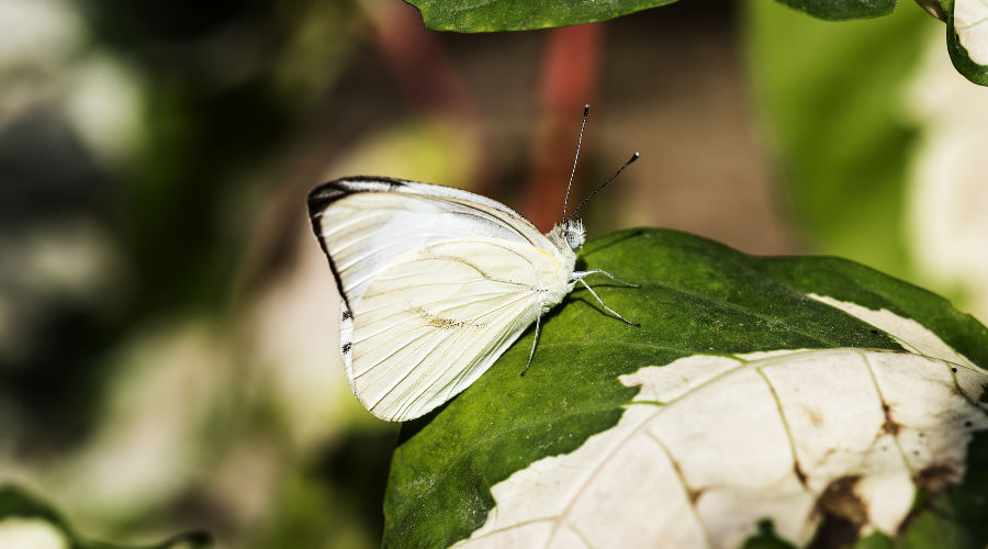  © Фото пользователя rawpixel.com с сайта freepik.com