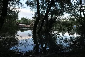 Воды довольно много, чтобы подойти &copy;&nbsp;Фото Марины Солошко, Юга.ру