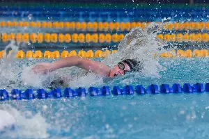  &copy;&nbsp;Фото Елены Синеок, Юга.ру