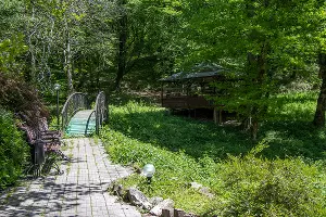 Окрестности водопада Чудо-Красотка &copy;&nbsp;Фото Екатерины Штыбиной