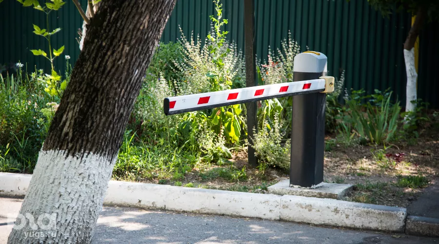  &copy;&nbsp;Фото Елены Синеок, Юга.ру