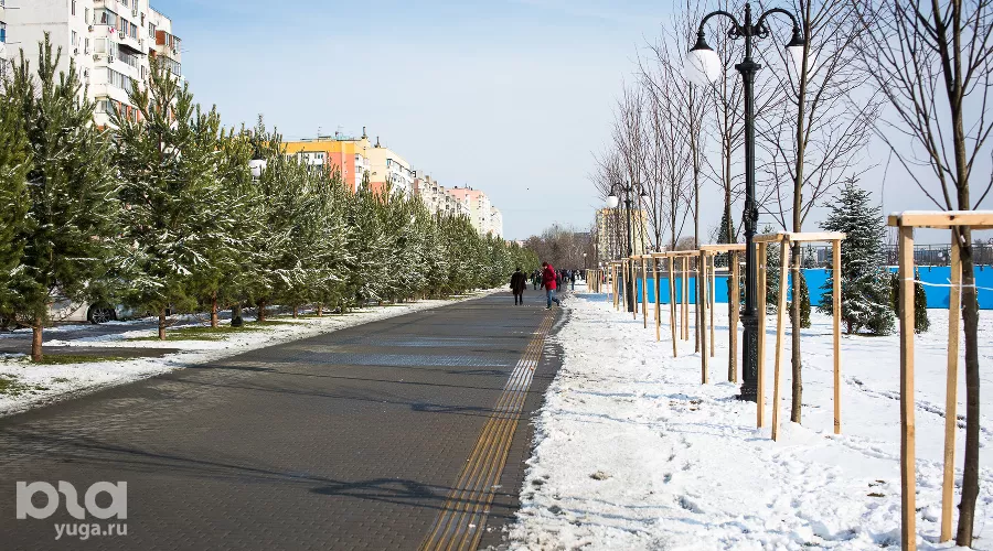  &copy;&nbsp;Фото Елены Синеок, Юга.ру