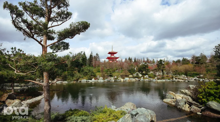 Японский сад &copy;&nbsp;Фото Антона Быкова, Юга.ру