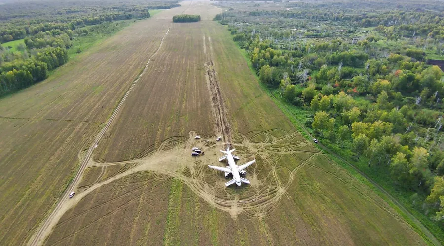 Самолет Сочи — Омск экстренно сел в поле Новосибирской области &copy;&nbsp;фото предоставлено авиакомпанией &laquo;Уральские авиалинии&raquo;