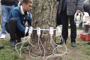 &copy;&nbsp;Фото пресс-службы администрации Краснодара