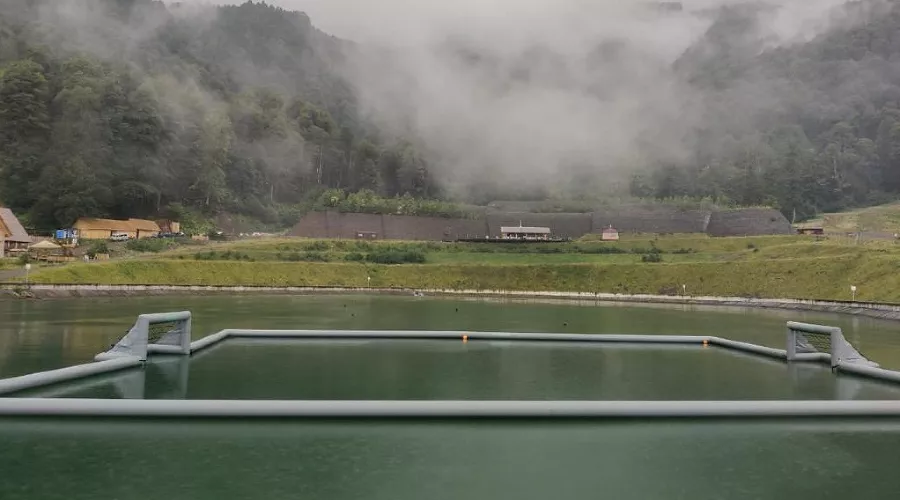  &copy;&nbsp;Фото пресс-службы курорта &laquo;Роза Хутор&raquo;