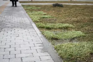 Аллея в честь 80-летия образования Краснодарского края &copy;&nbsp;Фото Елены Синеок, Юга.ру