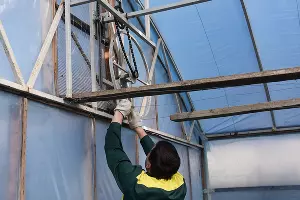 Тюльпаны &copy;&nbsp;Фото Елены Синеок, Юга.ру