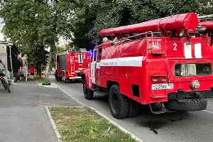 &copy;&nbsp;Фото Антона Быкова, Юга.ру