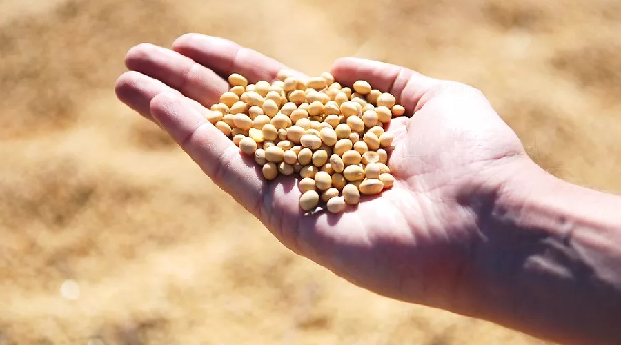  &copy;&nbsp;Фото с сайта pixabay.com