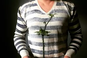 Перец &laquo;Шоколадный хабанеро&raquo; — любимый овощ семьи Рощиных &copy;&nbsp;Фото Антона Рощина