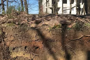 Основание («подошва») средневекового сигнального пункта &copy;&nbsp;Фото пресс-службы субтропического научного центра Российской академии наук