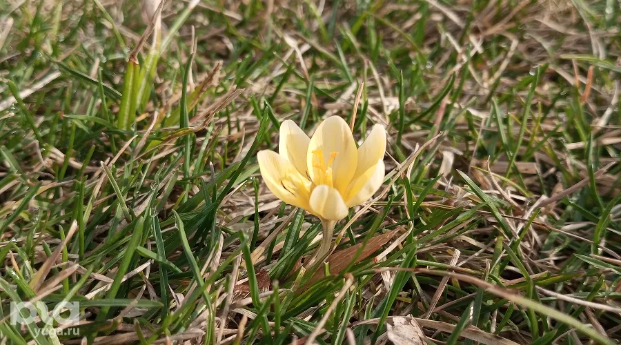  &copy;&nbsp;фото Андрея Малёваного