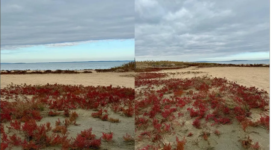  &copy;&nbsp;Коллаж из скриншотов фото из группы &laquo;Благовещенская MORE_BLAGA&raquo;