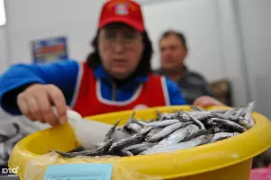  &copy;&nbsp;Елена Синеок, ЮГА.ру