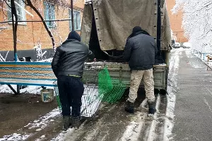  &copy;&nbsp;Фото пресс-службы УФССП по Республике Адыгея