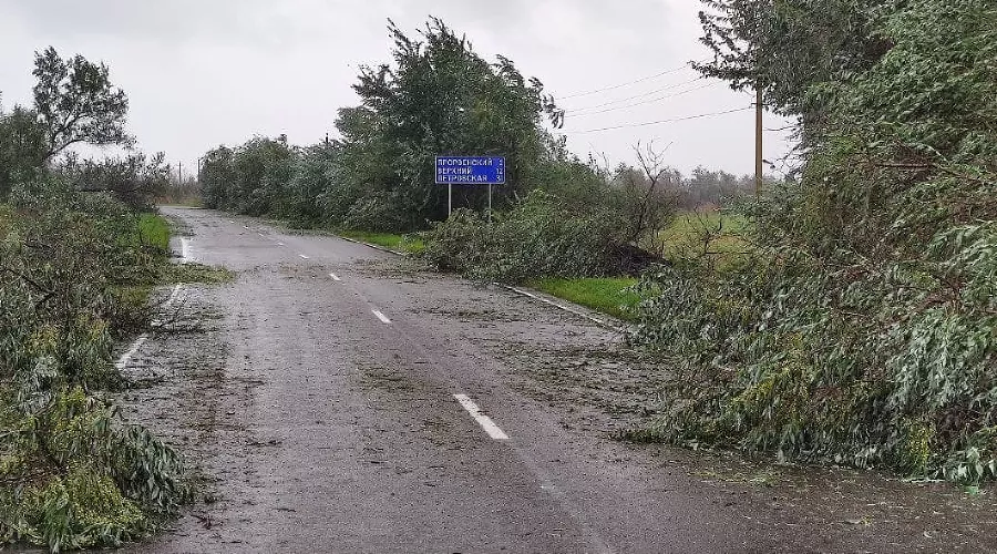  &copy;&nbsp;Фото из телеграм-канала Дмитрия Гарматюка, t.me/mun_dep