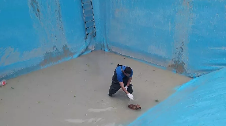  &copy;&nbsp;Фото из инстаграма начальника МБУ ПАСС &laquo;Служба спасения&raquo; Новороссийска Алексея Одерова, instagram.com/alekseioderov