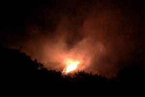 Пожар в заповеднике «Утриш» &copy;&nbsp;Фото Виталия Кавтарадзе