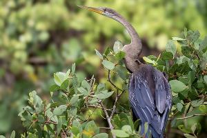  © Фото Николая Марченко