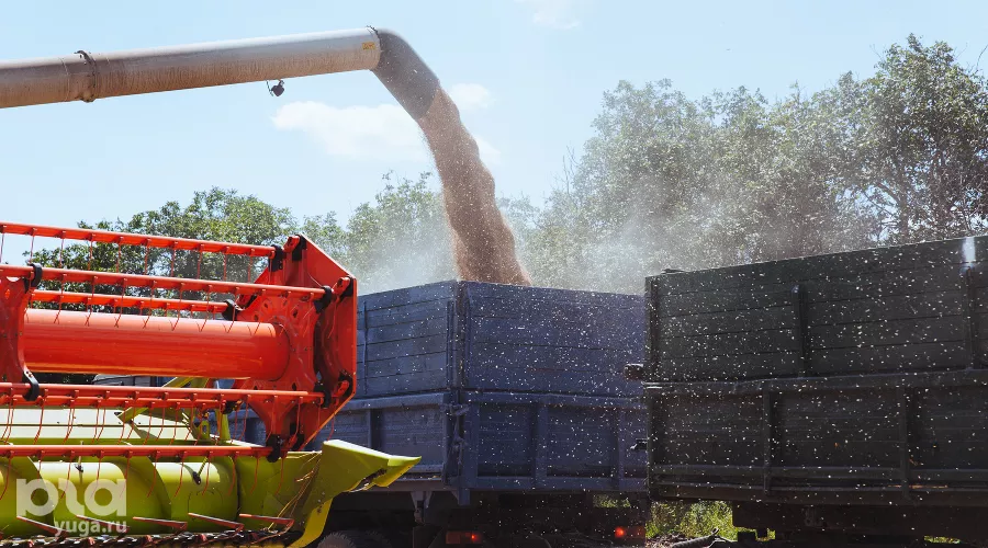 Уборка зерновых в Краснодарском крае &copy;&nbsp;Фото Амины Ибрагимовой, Юга.ру