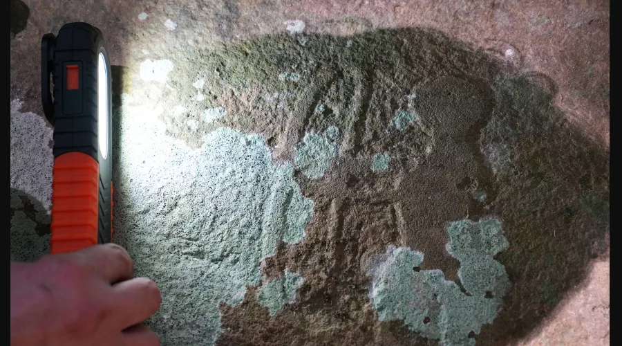  &copy;&nbsp;Скриншот фото с сайта npsochi.ru