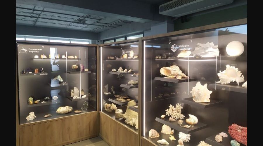  &copy;&nbsp;Скриншот фото с сайта wildfoto.ru