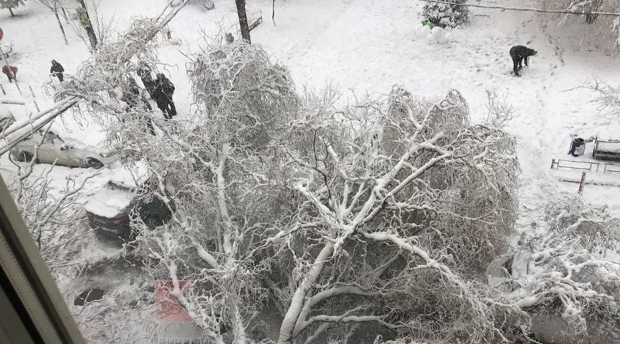  © Фото из паблика «Типичный Краснодар» во «ВКонтакте», vk.com/typical_krd