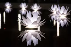 Парк «Краснодар»  с новогодней подсветкой &copy;&nbsp;Фото Елены Синеок, Юга.ру