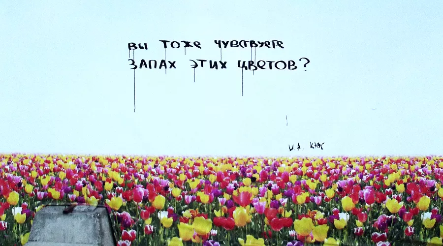 Серия работ «Симуляция благополучия» &copy;&nbsp;Фото из личного архива Максима Алехина