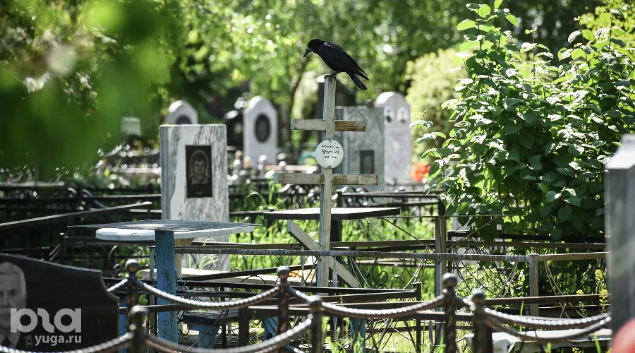  &copy;&nbsp;Фото Елены Синеок, Юга.ру