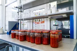  &copy;&nbsp;Фото предоставлено пресс-службой АО &laquo;Комбинат &laquo;Дары Кубани&raquo;