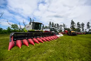  &copy;&nbsp;Фото Елены Синеок, Юга.ру