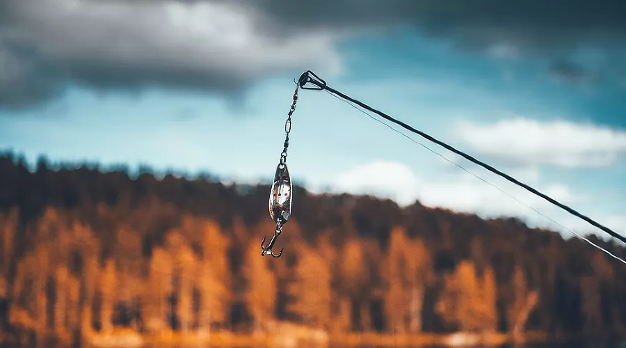  &copy;&nbsp;Фото с сайта pixabay.com