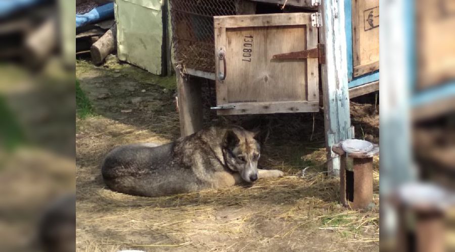  &copy;&nbsp;Фото Светланы Черниковой