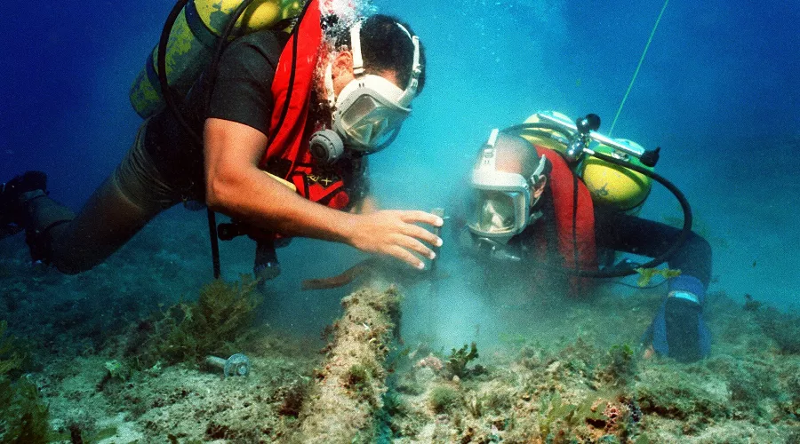  &copy;&nbsp;Фото пользователя Defence-Imagery с сайта pixabay.com