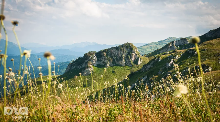  &copy;&nbsp;Фото Елены Синеок, Юга.ру