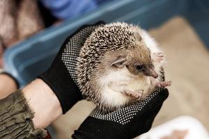  © Фото Евгения Чистякова