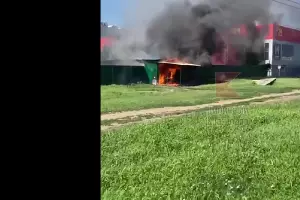  &copy;&nbsp;Скриншот видео из телеграм-канала &laquo;Типичный Краснодар&raquo;, t.me/krd_tipich_ru