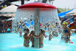  © Фото Елены Синеок, Юга.ру