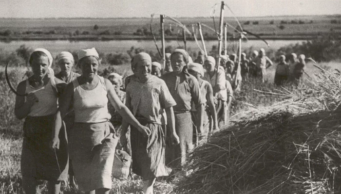 Кто такой Павел Тюляев? Биография руководителя Краснодара в&nbsp;период&nbsp;Великой Отечественной войны