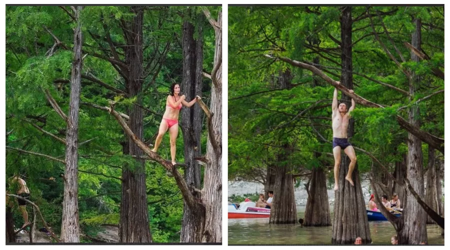  &copy;&nbsp;Скриншот из телеграм-канала &laquo;Партия Зеленые&raquo; https://t.me/greensrussia/3714