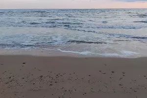  &copy;&nbsp;Фото Антона Быкова, Юга.ру