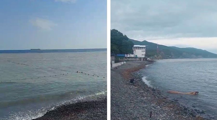  &copy;&nbsp;Коллаж из скриншотов фото из телеграм-канала &laquo;Глебовский округ - Актуальное&raquo;