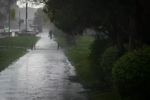  &copy;&nbsp;Фото Елены Синеок, Юга.ру